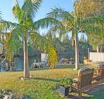 The Oasis on Jacobs Drive - C Tourism