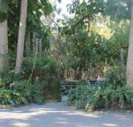 Avoca Park - C Tourism