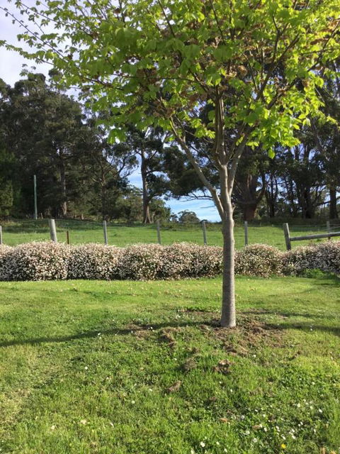 Nextdooratportarthur - C Tourism 3