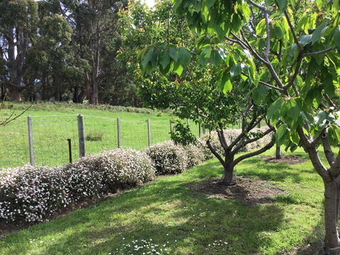 Nextdooratportarthur - C Tourism 1