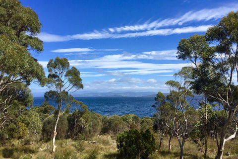Te Kuiti Bruny Island Cottage - C Tourism 1