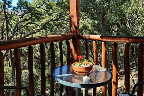 Shady Creek Eco Cabin - C Tourism 1
