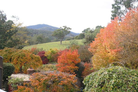 Riverhouse At Howqua Dale - C Tourism 5