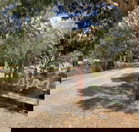 Bushland - C Tourism