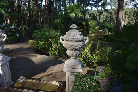 Forest Edge Cottage At Merrow Cottages - C Tourism 2