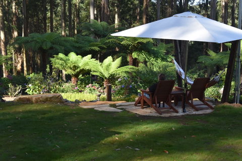 Forest Edge Cottage At Merrow Cottages - C Tourism 5