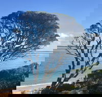 Cowes on the Bay - C Tourism