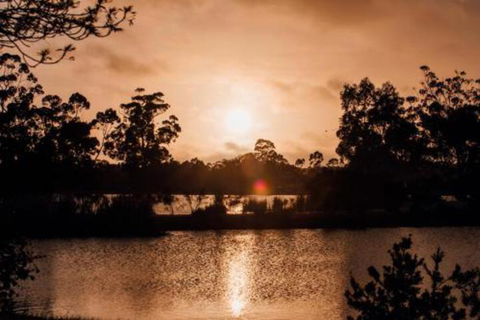 Bendigo Lakeside Accommodation - C Tourism 6