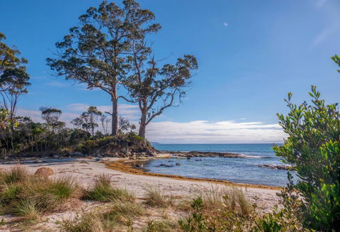 Adventure Bay Holiday Home - C Tourism 3