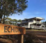 Echidna on Bruny - C Tourism