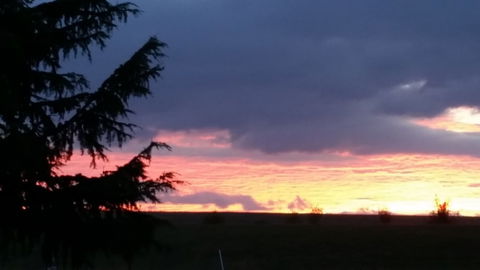 Stirling View - C Tourism 3