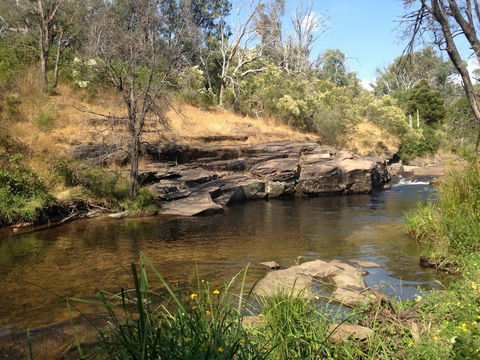 The Bower - C Tourism 3