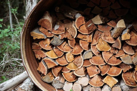 Carawirry Forest Escape - C Tourism 6