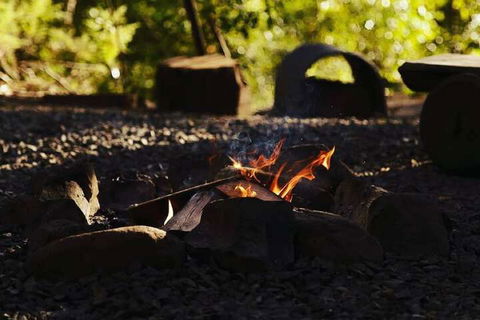 Carawirry Forest Escape - C Tourism 5