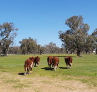 Jindera Park - C Tourism