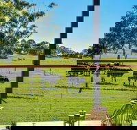 Curra Homestead Maleny - C Tourism