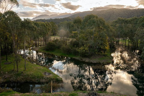 Dreaming Of The Buckland - C Tourism 1
