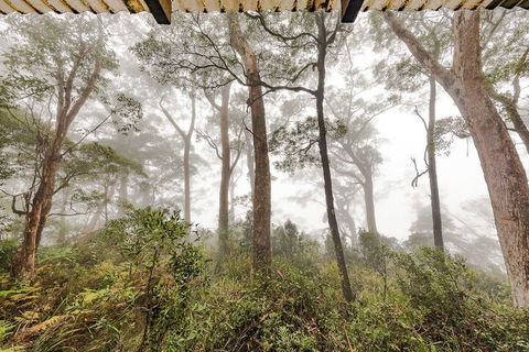 The Chalet - C Tourism 1