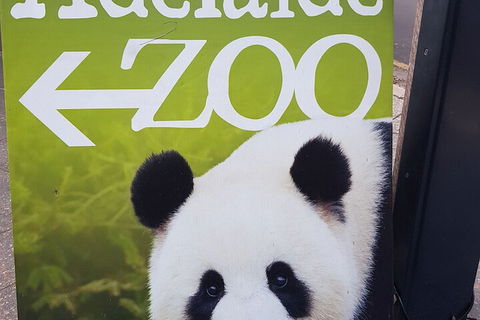 Adelaide Style Accommodation Near City - C Tourism 5