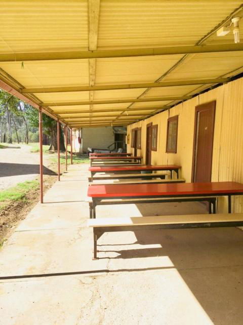 Bright Cabin Park - C Tourism 5