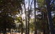 Bright Cabin Park - thumb 0