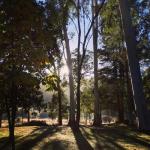 Bright Cabin Park - C Tourism 0