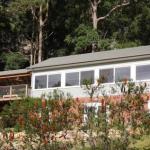 Bayscape At Hardys Bay / Killcare - C Tourism 1