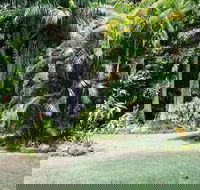 Sanctuary in The Pocket - C Tourism