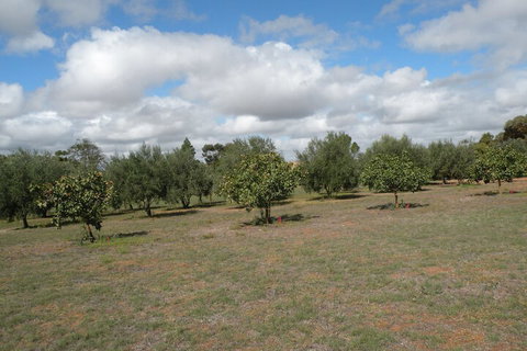 Thalia Getaway Villa - C Tourism 2