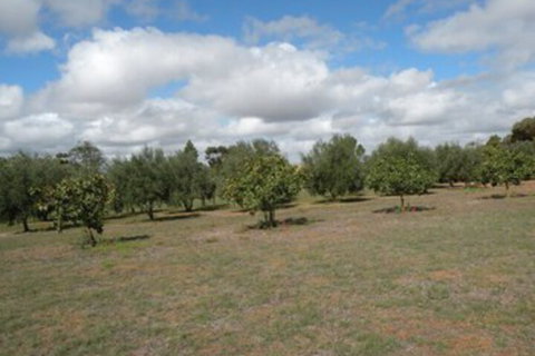 Thalia Getaway Villa - C Tourism 3