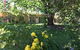 The Grange Homestead - thumb 0