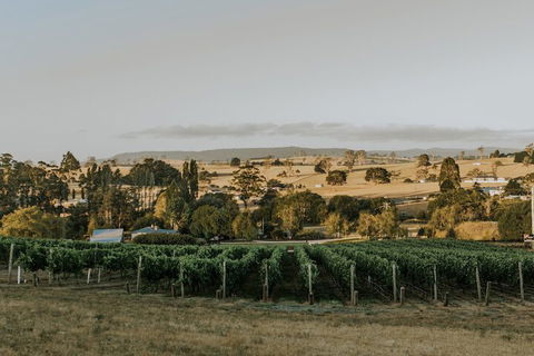 The Cottage At 3 Willows Vineyard - C Tourism 7