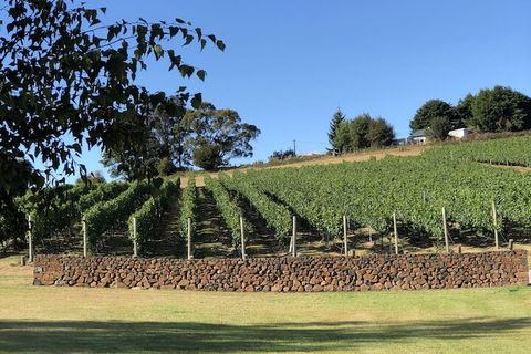 The Cottage At 3 Willows Vineyard - C Tourism 6
