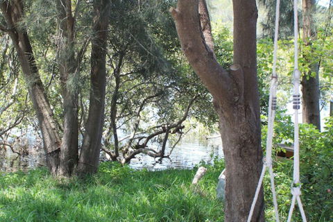 Waters Edge - C Tourism 5