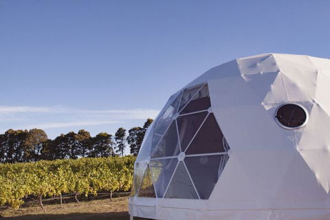 Domescapes In The Vines - C Tourism 2