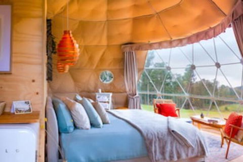 Domescapes In The Vines - C Tourism 0
