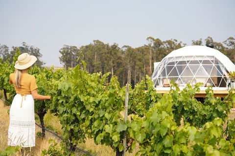 Domescapes In The Vines - C Tourism 5