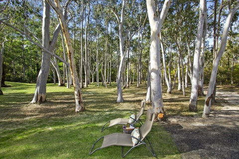 Azaltie - C Tourism 4