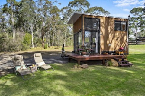 Azaltie - C Tourism 0