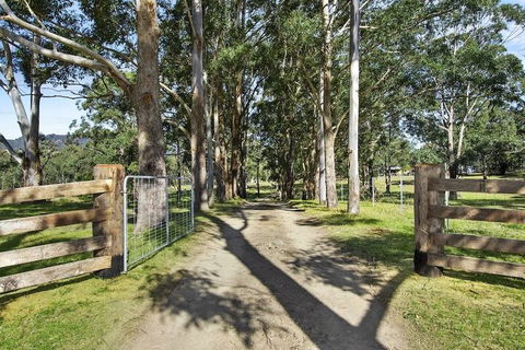 Azaltie - C Tourism 6