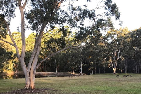 Azaltie - C Tourism 7