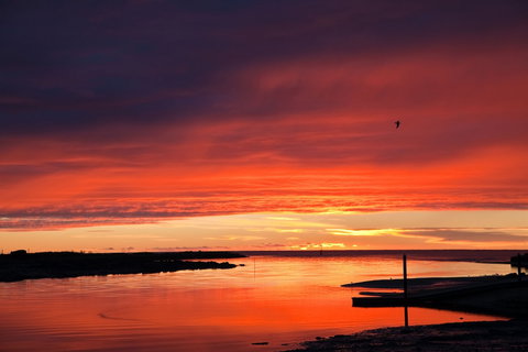 Burnie Airport Motel - C Tourism 0