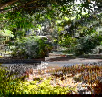 Country Comfort Bundaberg - C Tourism