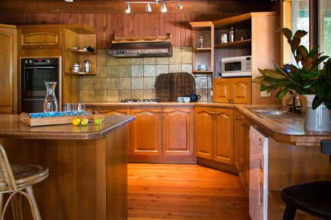 Halina - C Tourism 3