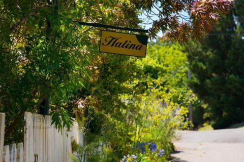 Halina - C Tourism 6