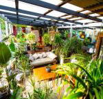 Jaspers Apartments - C Tourism