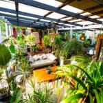 Jaspers Apartments - C Tourism 0