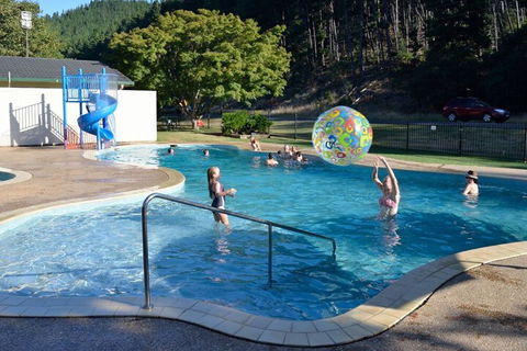 Porepunkah Pines Holiday Park - C Tourism 7