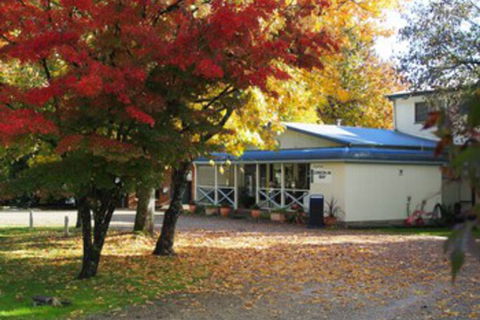 Porepunkah Pines Holiday Park - C Tourism 0