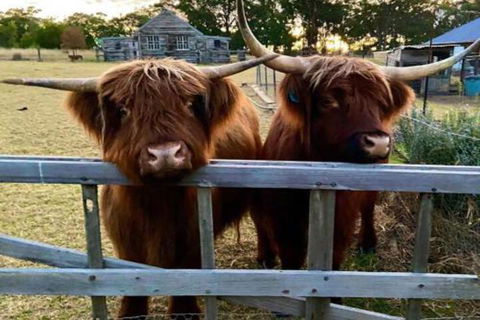 Straw House Farm B & B - C Tourism 4